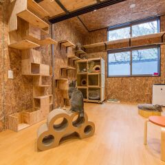 Nekokura Hostel Фукуока спа