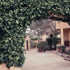 Отель Apartamentos Playa Ferrera фото 6
