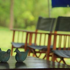 Отель Big Game Camp Yala Шри-Ланка, Катарагама - отзывы, цены и фото номеров - забронировать отель Big Game Camp Yala онлайн фото 5