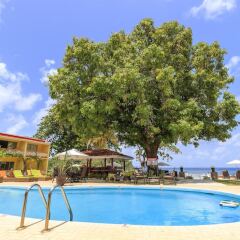 Отель Sunset Shores Beach Hotel Сент-Винсент и Гренадины, Остров Бекия - отзывы, цены и фото номеров - забронировать отель Sunset Shores Beach Hotel онлайн детские мероприятия фото 2
