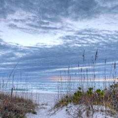Отель Sarasota 18 - 5 Br Home пляж фото 2