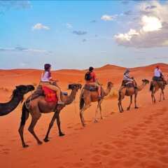 Отель Desert Berber Fire Camp Марокко, Мерзуга - отзывы, цены и фото номеров - забронировать отель Desert Berber Fire Camp онлайн фото 2