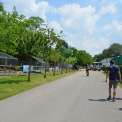 Отель Camping Village Città di Milano Италия, Милан - отзывы, цены и фото номеров - забронировать отель Camping Village Città di Milano онлайн спа