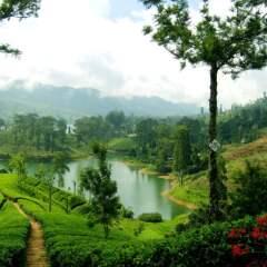 Galway Forest Lodge Hotel Nuwara Eliya