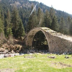 Отель Ayder Umit Otel с домашними животными