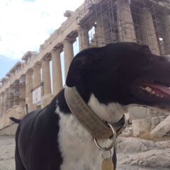 Отель Athens Backpackers парковка