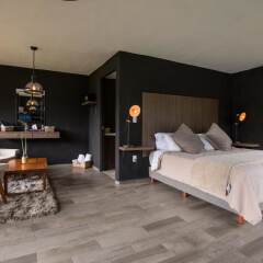 Orgánico Hotel Boutique Мехико комната для гостей фото 3