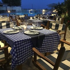 Отель Thera Mare Hotel Греция, Остров Санторини - 1 отзыв об отеле, цены и фото номеров - забронировать отель Thera Mare Hotel онлайн питание