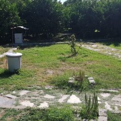 Priene Pansiyon Турция, Капикири - отзывы, цены и фото номеров - забронировать отель Priene Pansiyon онлайн
