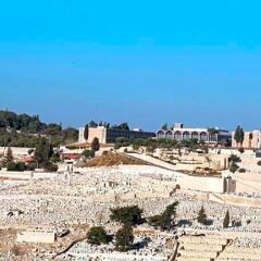 Mount Of Olives Hotel Израиль, Иерусалим - 4 отзыва об отеле, цены и фото номеров - забронировать отель Mount Of Olives Hotel онлайн фото 3