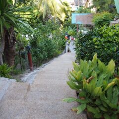 Отель Palm Point Village