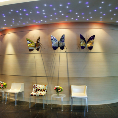 Amalia Hotel Athens развлечения