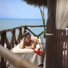 Отель Sunset Plaza Beach Resort & Spa с домашними животными
