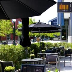 Отель The Westin Bellevue Dresden фото 5