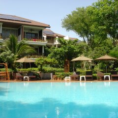 Отель Birds & Bees Resort бассейн