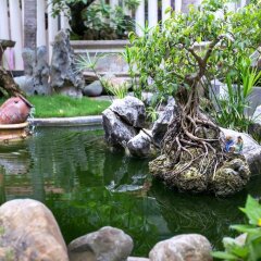 Отель Bonsai Homestay Хойан фото 12