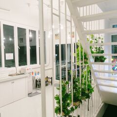 Diff Hostel Бангкок ванная