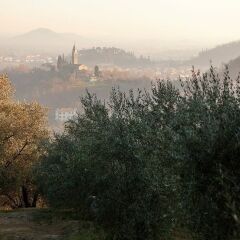 Отель Belvedere Resort Ai Colli Италия, Региональный парк Colli Euganei - отзывы, цены и фото номеров - забронировать отель Belvedere Resort Ai Colli онлайн фото 11