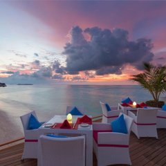 Отель Sun Siyam Vilu Reef Мальдивы, Атолл Дхаалу - 1 отзыв об отеле, цены и фото номеров - забронировать отель Sun Siyam Vilu Reef онлайн пляж фото 2