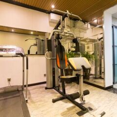 Hongmayi Theme Hotel Xinxiang Qingchun Jiyi фитнесс-зал фото 2