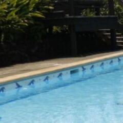 Отель Savusavu Hot Springs Hotel Фиджи, Савусаву - отзывы, цены и фото номеров - забронировать отель Savusavu Hot Springs Hotel онлайн бассейн фото 3