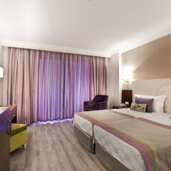 Side Alegria Hotel & Spa - Adults Only Сиде комната для гостей