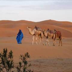 Отель Riad Tadarte Марокко, Мерзуга - отзывы, цены и фото номеров - забронировать отель Riad Tadarte онлайн пляж