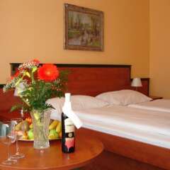 EA Hotel Jessenius в номере фото 2