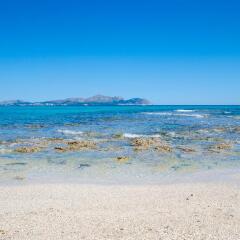 Отель Apartamentos YourHouse Alcudia с домашними животными