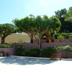Eurohotel Katrin Hotel & Bungalows – All Inclusive фото 2