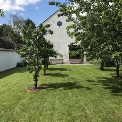 Отель B&B Sterckxhof Бельгия, Мейсе - отзывы, цены и фото номеров - забронировать отель B&B Sterckxhof онлайн фото 10