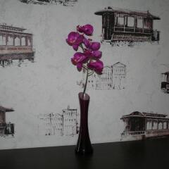 B&B Hotel Center развлечения