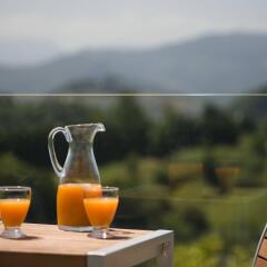 Отель Irenaz Resort Hotel Apartamentos Испания, Сан-Себастьян - отзывы, цены и фото номеров - забронировать отель Irenaz Resort Hotel Apartamentos онлайн балкон