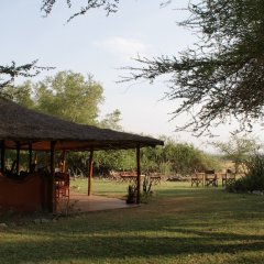 Lake Natron Tented Camp in Arusha, Tanzania from 293$, photos, reviews - zenhotels.com photo 8