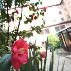 Отель Weston Hall - Halls of Residence фото 2