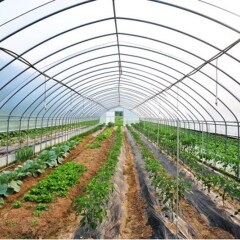 Отель Pyeongchang Sky Garden Pension Южная Корея, Пхёнчан - отзывы, цены и фото номеров - забронировать отель Pyeongchang Sky Garden Pension онлайн фото 6