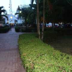 Rig Hotel Plaza Venecia Бока Чика фото 2