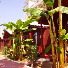 Отель Dream Park Bungalov Otel фото 3