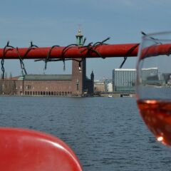 Отель The Red Boat Швеция, Стокгольм - 3 отзыва об отеле, цены и фото номеров - забронировать отель The Red Boat онлайн бассейн