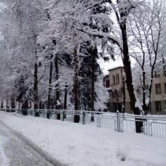 Отель Guest House Lila