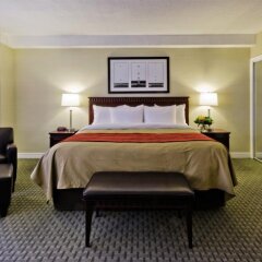 The Anndore House, part of JdV by Hyatt in Toronto, Canada from 375$, photos, reviews - zenhotels.com guestroom photo 5