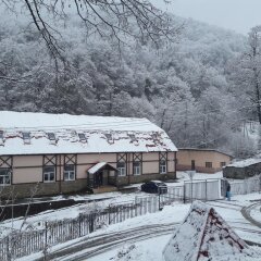 Гостиница Hostel 69 Yelok в Красной Поляне отзывы, цены и фото номеров - забронировать гостиницу Hostel 69 Yelok онлайн Красная Поляна