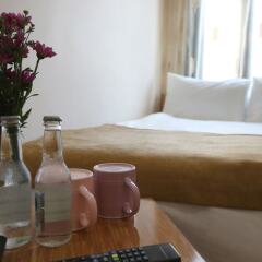 Taksim Maxwell Hotel в номере фото 2