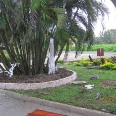 Отель Golden Palms Retreat Фиджи, Вити-Леву - отзывы, цены и фото номеров - забронировать отель Golden Palms Retreat онлайн фото 2