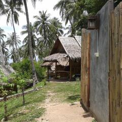 Отель The Earth House