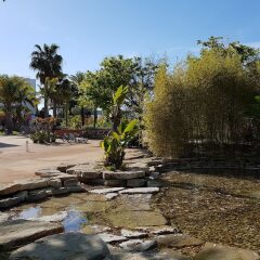 Отель Pestana Alvor Park Hotel Apartamento Португалия, Портимао - отзывы, цены и фото номеров - забронировать отель Pestana Alvor Park Hotel Apartamento онлайн фото 2