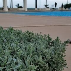 Отель Sunrise Villa On The Beach пляж фото 2