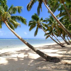 Sunhaven Beach Bungalows in Rarotonga, Cook Islands from 209$, photos, reviews - zenhotels.com beach