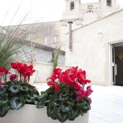 Отель San Francesco Bed & Breakfast Альтамура балкон