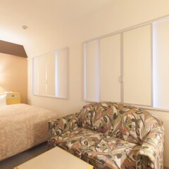 Отель GreenHotel Kitakami Япония, Китаками - отзывы, цены и фото номеров - забронировать отель GreenHotel Kitakami онлайн комната для гостей фото 2